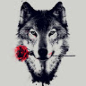 Meet your Posher, Jeremiah